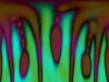 Thumbs/tn_f.n.24.jpg