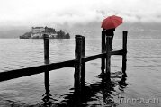 Laghi
