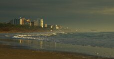 Mare