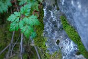 DSCF5886_X-E4