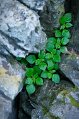 DSCF5892_X-E4