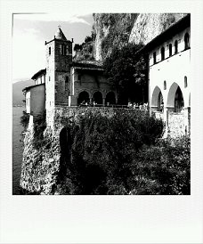 roidizer_1376839249698