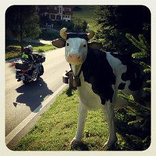 IMG_20130810_185630