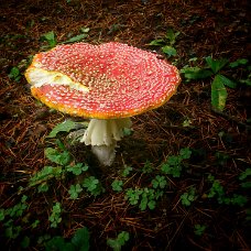 DSC_0066_2