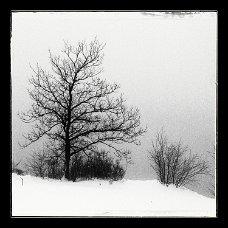 DSC_0025_1