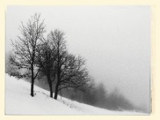 DSC_0028_1