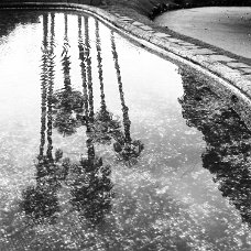 IMG_20140218_113417