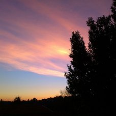 IMG_20140225_080400