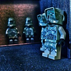 DSC_0438_1