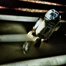DSC_0448_1