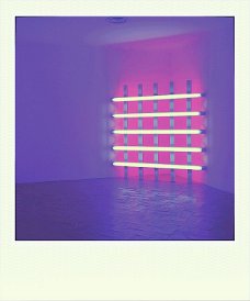 roidizer_1425822197904