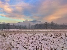 DSC_0314_1