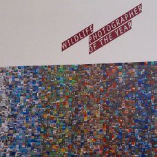 IMG_20151128_183618