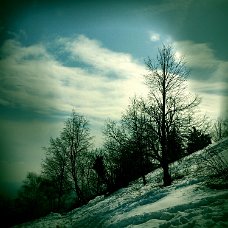 shot_1457698516141