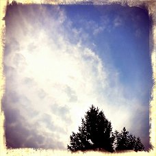 shot_1469641259995