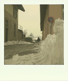 roidizer_1457184929636