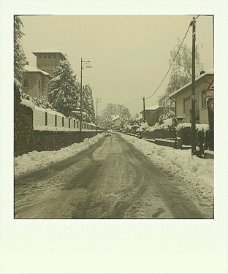 roidizer_1457185186855