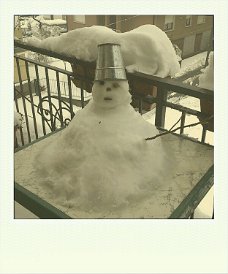roidizer_1457191823254