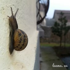 IMG_20180316_080709-01