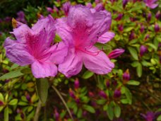 DSC00628