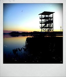 shot_1324915179095