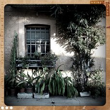 shot_1320069159780