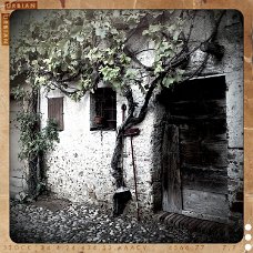 shot_1320069229061