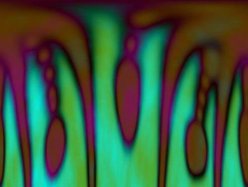 ../Images/f.n.24.JPG