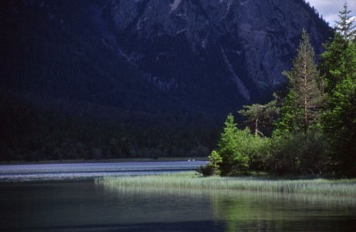 ../Images/113.jpg