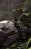 Thumbs/tn_104.jpg