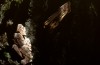 Thumbs/tn_105.jpg