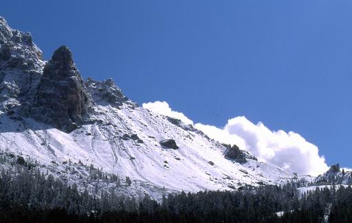 ../Images/38.jpg