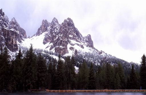 ../Images/39.jpg