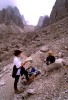 Thumbs/tn_51.jpg