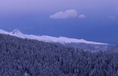 ../Images/20.jpg
