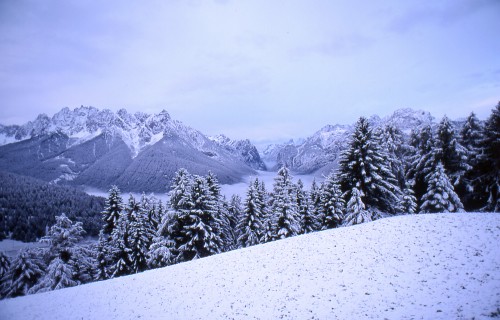 ../Images/21.jpg