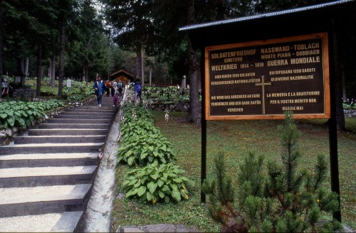 ../Images/dol-3.jpg