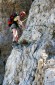 Thumbs/tn_Fer-11.jpg