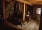 Thumbs/tn_Fer-14.jpg