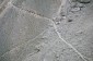 Thumbs/tn_Fer-15.jpg