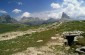 Thumbs/tn_Fer-18.jpg