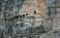 Thumbs/tn_Fer-31.jpg