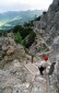 Thumbs/tn_Fer-34.jpg