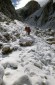 Thumbs/tn_Fer-43.jpg