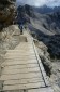 Thumbs/tn_Fer-49.jpg