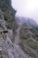 Thumbs/tn_Fer-58.jpg