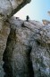 Thumbs/tn_Fer-7.jpg