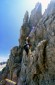 Thumbs/tn_Fer-8.jpg