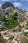 Thumbs/tn_Fer-9.jpg