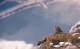 Thumbs/tn_124.jpg